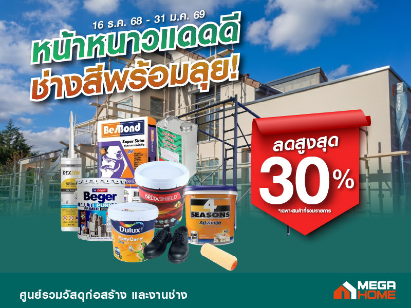 หน้าหนาวทาสี